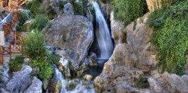 Les Fonts de l Algar - Ara Araruna