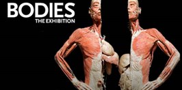 Body The Exhibition