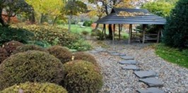 Botanická zahrada Trója - japonská zahrada