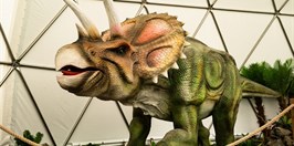 Dinopark Tatry Tryceraptos